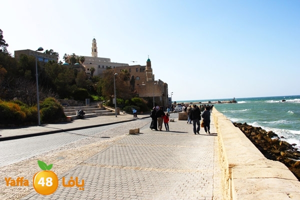 mina2 yaffaj343 (26).jpg